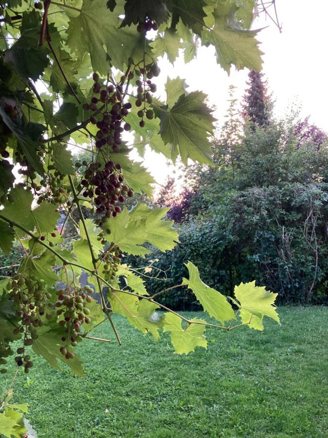 Fewo Alkapa Hilzingen Esterno foto